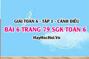 Giải bài 6 trang 79 Toán 6 Tập 1 SGK Cánh Diều